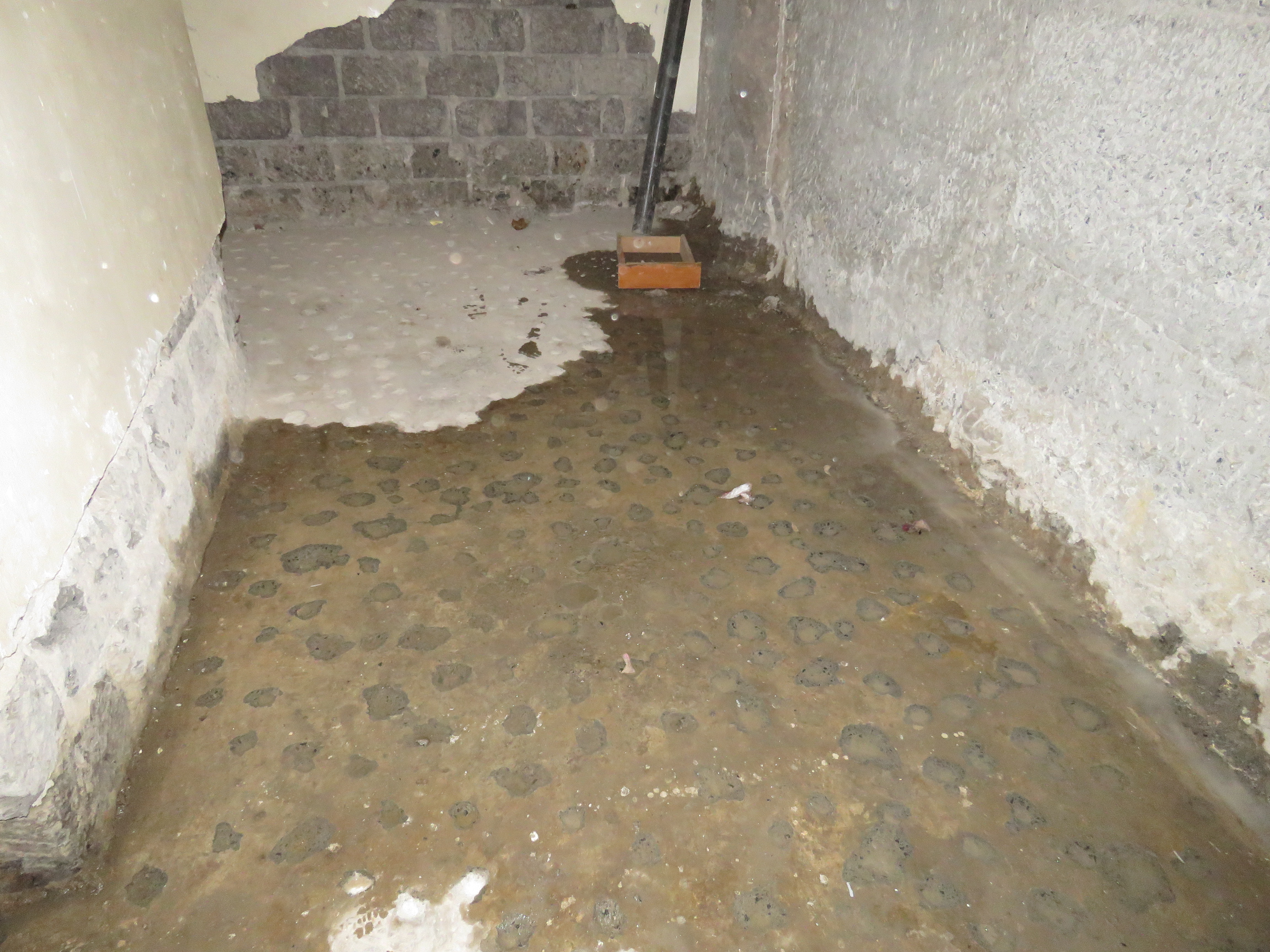 WATERPROOFING FAILURES image